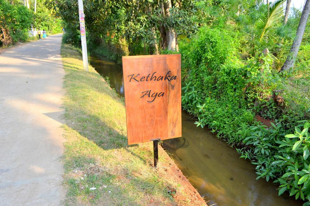 Kethaka Aga Hotel Tissamaharama Buitenkant foto